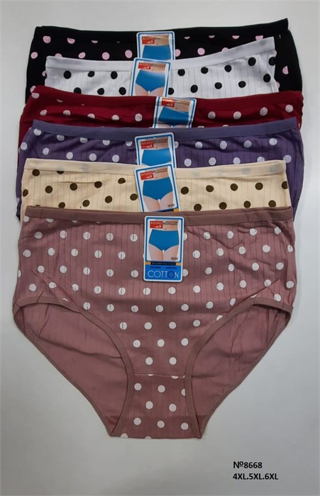 Плавки "Cotton" 8668 (4XL,5XL,6XL) 97790 - фото 119744