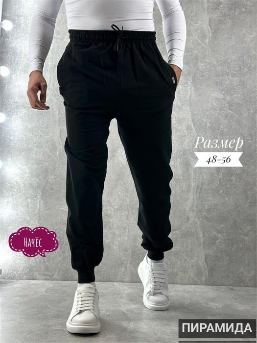 Брюки муж. начес (р.48-170) 98060 - фото 120026