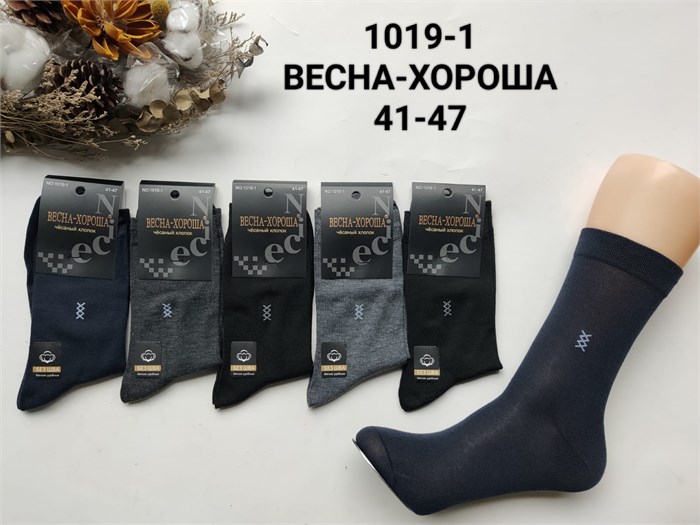 Носки муж.№1019-1 "Весна" ассорти 10шт/уп 98425 - фото 120424
