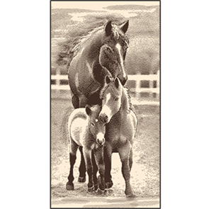 Полотенце махровое 50х90 см. 420 гр. арт. С106-ЮА  рис. 7940 Счастливая семья С106-ЮА-2