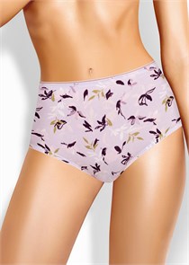 {{productViewItem.photos[photoViewList.activeNavIndex].Alt || productViewItem.photos[photoViewList.activeNavIndex].Description || 'CLE M1183/3 Трусы жен. Виола (48-св.розовый/т.фиолетовый)'}}