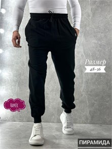 Брюки муж. начес (р.52-170) 98062