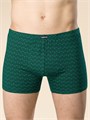 Трусы муж. MUHB6921 (L(48)-Изумрудный) 98283 - фото 120282