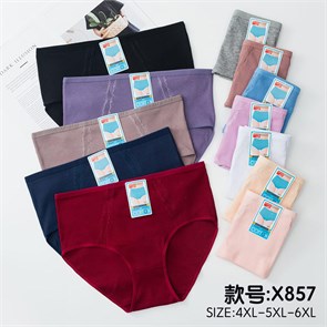 Плавки "Cotton" X857 (4XL,5XL,6XL) 84830