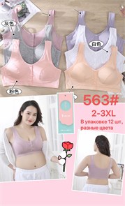 Топ №563 (2XL-3XL) 2шт/уп 86123