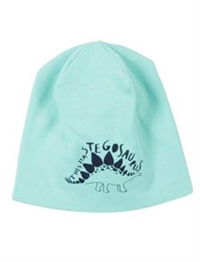 #CH 8172 (227) Шапка для мальчика бирюзовый 54-56 ВГ 444356