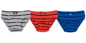 CSJB 10098-26 Трусы для мальчика (Красный (146)-76) 502950