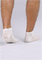 CLE Носки муж.S101 хл+эл укор (31-белый) 83053 - фото 100887
