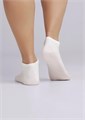 ЭЙС Носки жен.Д104ш хл+эл ук.сетка (23-белый) 84646 - фото 103134