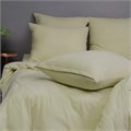 Простыня VIOLETT трикотажная на резинке  180х200х25 арт.KPM-180 олива KPV-180-12 - фото 88075